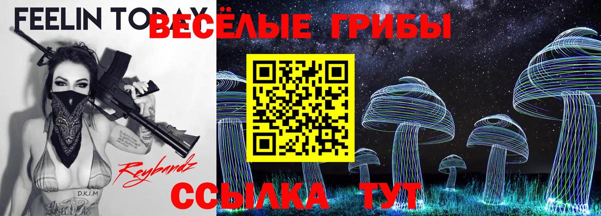 Псилоцибиновые грибы Psilocybe Новоуральск